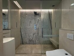 The Scotts Tower (D9), Condominium #471408041